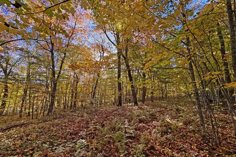 0000 Marthas Rd, Osage, MN 56570 photo 57