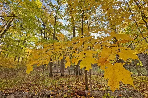 0000 Marthas Rd, Osage, MN 56570 photo 55