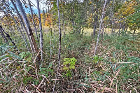 0000 Marthas Rd, Osage, MN 56570 photo 45