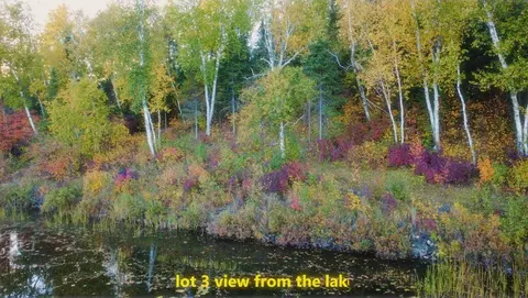 2023 Moose Lake Rd, Duluth, MN 55803 photo 14