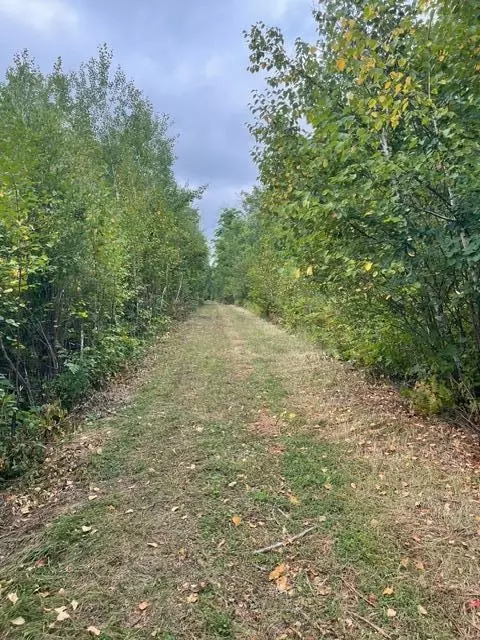 tbd Lacy Ln SW, Pequot Lakes, MN 56472
