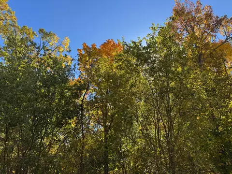 51265 Vagabond Loop, Bemidji, MN 56601 photo 3