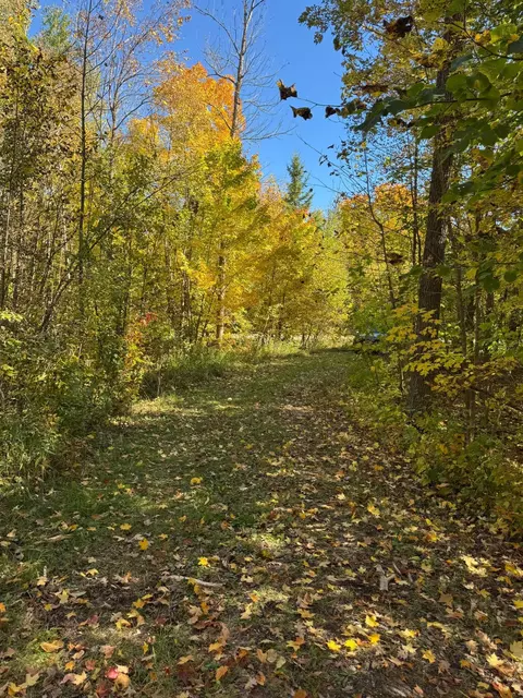 51265 Vagabond Loop, Bemidji, MN 56601 photo 8