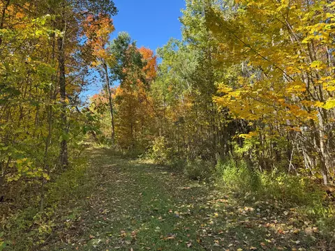 51265 Vagabond Loop, Bemidji, MN 56601 photo 9