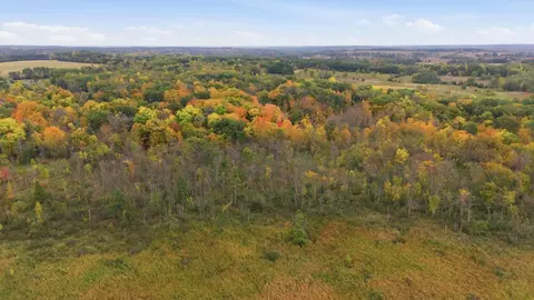 tbd 281st Ave, Grey Eagle, MN 56336 photo 7