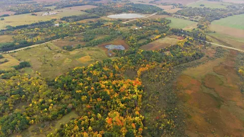 tbd 281st Ave, Grey Eagle, MN 56336 photo 4