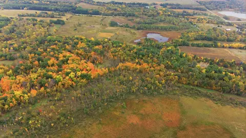 tbd 281st Ave, Grey Eagle, MN 56336 photo 8