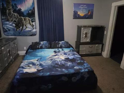 Bedroom - 320 Vine Ave, Albert Lea, MN 56007 photo 2 of 8