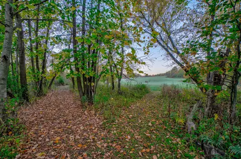tbd 780th Ave, Spring Valley, WI 54767 photo 20