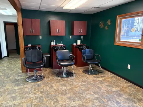 266 Second Ave W, Echo, MN 56237 photo 3