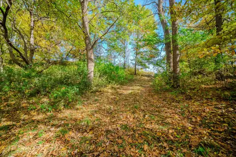tbd County Road 102, Grey Eagle, MN 56336 photo 3