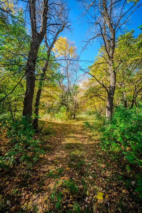 tbd County Road 102, Grey Eagle, MN 56336 photo 24