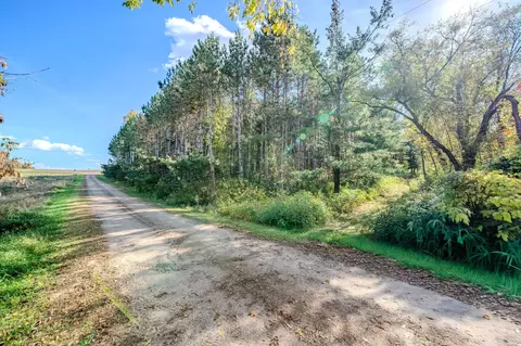 tbd County Road 102, Grey Eagle, MN 56336 photo 21
