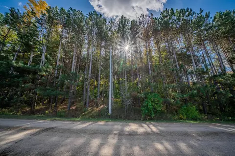 tbd County Road 102, Grey Eagle, MN 56336 photo 25