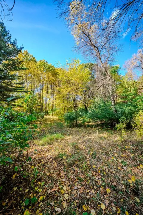 tbd County Road 102, Grey Eagle, MN 56336 photo 26