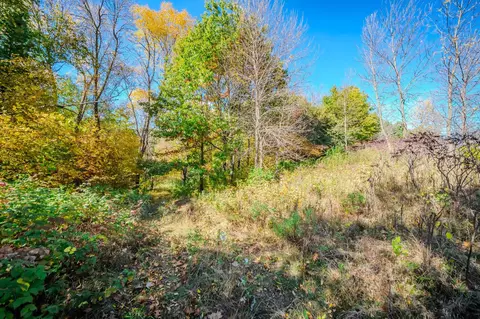 tbd County Road 102, Grey Eagle, MN 56336 photo 29