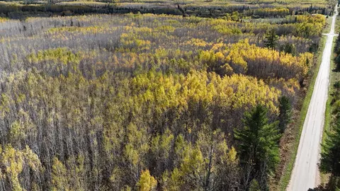 tbd 289 Rangeline Rd, Orr, MN 55771 photo 5