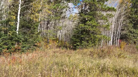 tbd 289 Rangeline Rd, Orr, MN 55771 photo 16