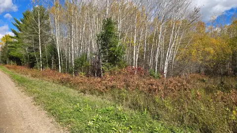 tbd 289 Rangeline Rd, Orr, MN 55771 photo 18