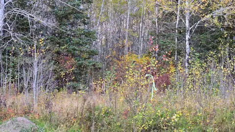 tbd 289 Rangeline Rd, Orr, MN 55771 photo 22