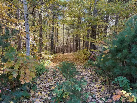 Nnnn County Road 19, Merrifield, MN 56465