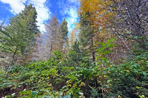 3098 Whyte Rd, Two Harbors, MN 55616 photo 38
