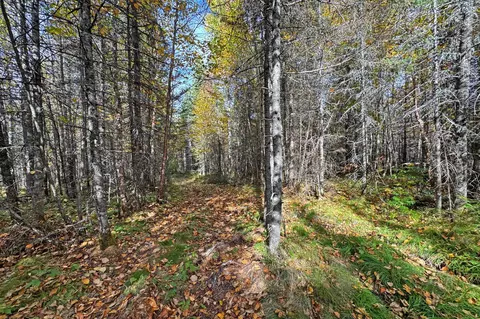 3098 Whyte Rd, Two Harbors, MN 55616 photo 28
