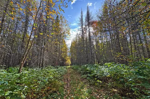 3098 Whyte Rd, Two Harbors, MN 55616 photo 27