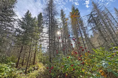 3098 Whyte Rd, Two Harbors, MN 55616 photo 30