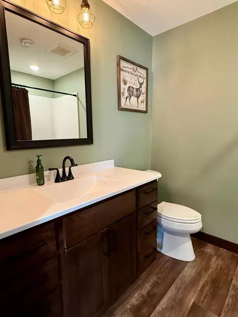 Bath - 1122 3rd St, Wanamingo, MN 55983 photo 7 of 8