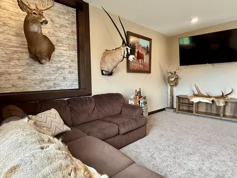 Living - 1122 3rd St, Wanamingo, MN 55983 photo 9 of 12