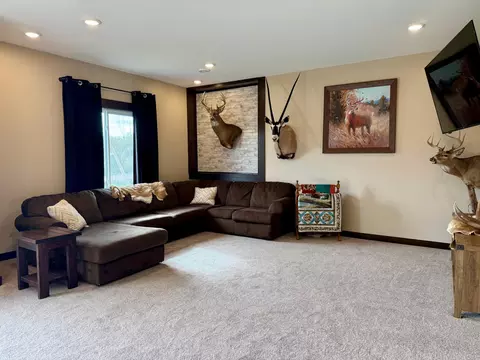 Living - 1122 3rd St, Wanamingo, MN 55983 photo 8 of 12