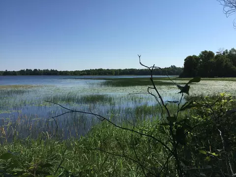 Tract 1 Lower Larson Lake Road Nw, Hackensack, MN 56452 photo 7