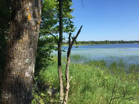 Tract 1 Lower Larson Lake Road Nw, Hackensack, MN 56452 photo 11