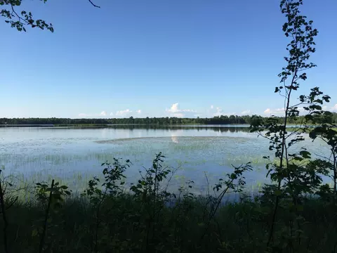 Tract 1 Lower Larson Lake Road Nw, Hackensack, MN 56452 photo 16