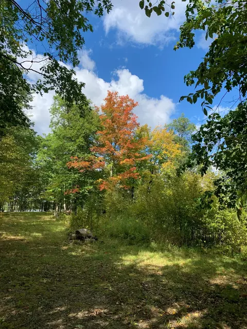 Tract 1 Lower Larson Lake Road Nw, Hackensack, MN 56452 photo 17
