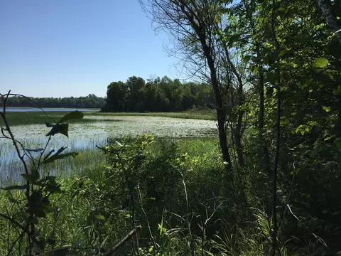 Tract 1 Lower Larson Lake Road Nw, Hackensack, MN 56452 photo 6