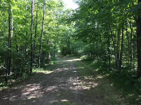 Tract 1 Lower Larson Lake Road Nw, Hackensack, MN 56452 photo 22