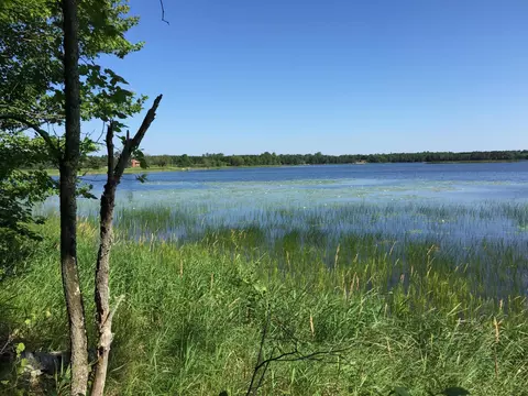 Tract 1 Lower Larson Lake Road Nw, Hackensack, MN 56452 photo 10