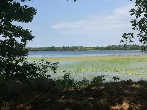 Tract 1 Lower Larson Lake Road Nw, Hackensack, MN 56452 photo 24