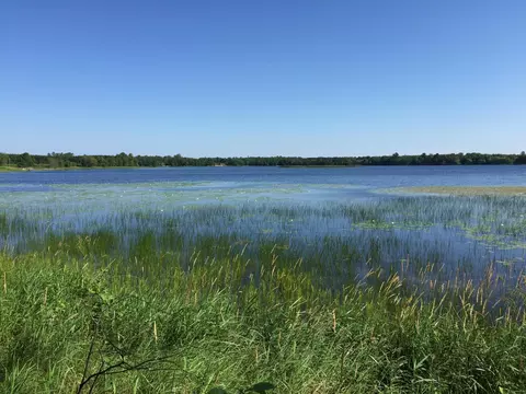 Tract 1 Lower Larson Lake Road Nw, Hackensack, MN 56452 photo 9