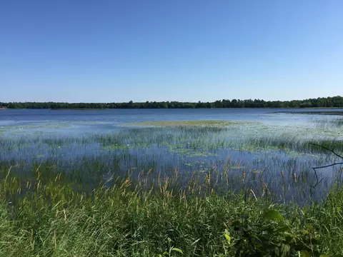 Tract 1 Lower Larson Lake Road Nw, Hackensack, MN 56452 photo 8
