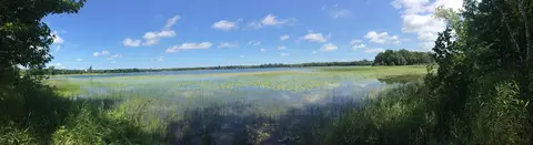 Tract 1 Lower Larson Lake Road Nw, Hackensack, MN 56452 photo 25