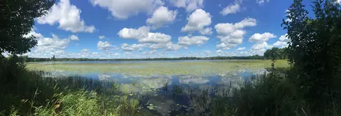 Tract 1 Lower Larson Lake Road Nw, Hackensack, MN 56452 photo 13