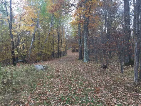 Tract 1 Lower Larson Lake Road Nw, Hackensack, MN 56452 photo 5