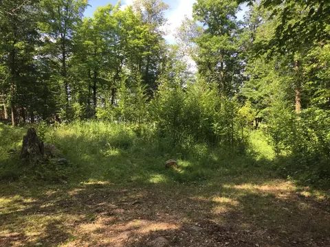 Tract 1 Lower Larson Lake Road Nw, Hackensack, MN 56452 photo 23