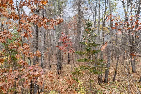tbd Grouse View Dr, Brook Park, MN 55007 photo 36