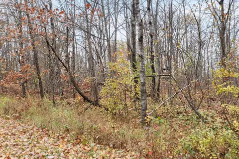 tbd Grouse View Dr, Brook Park, MN 55007 photo 9