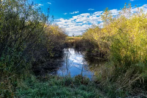 tbd 231st Ave, Browerville, MN 56438 photo 4