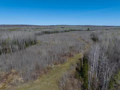 tbd Swedlund Rd, Herbster, WI 54844 photo 5